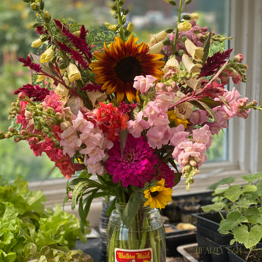 Compartir flores frescas