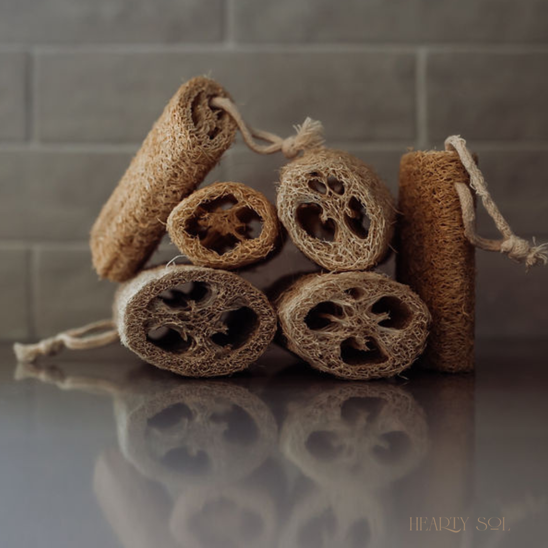 Luffa Sponge