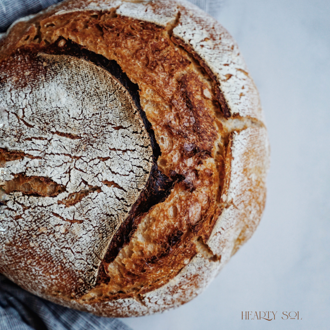 Sourdough Starter