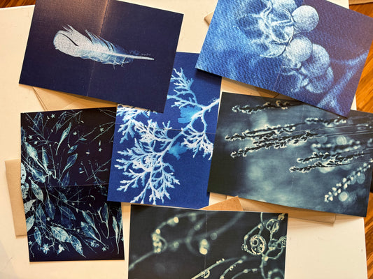 Cyanotype Original Art Printed Greeting Cards