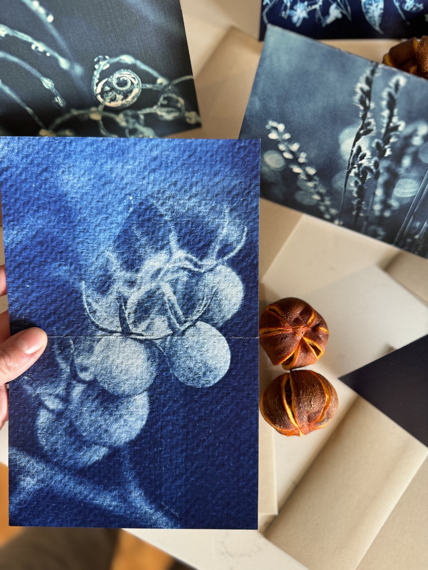 Cyanotype Original Art Printed Greeting Cards