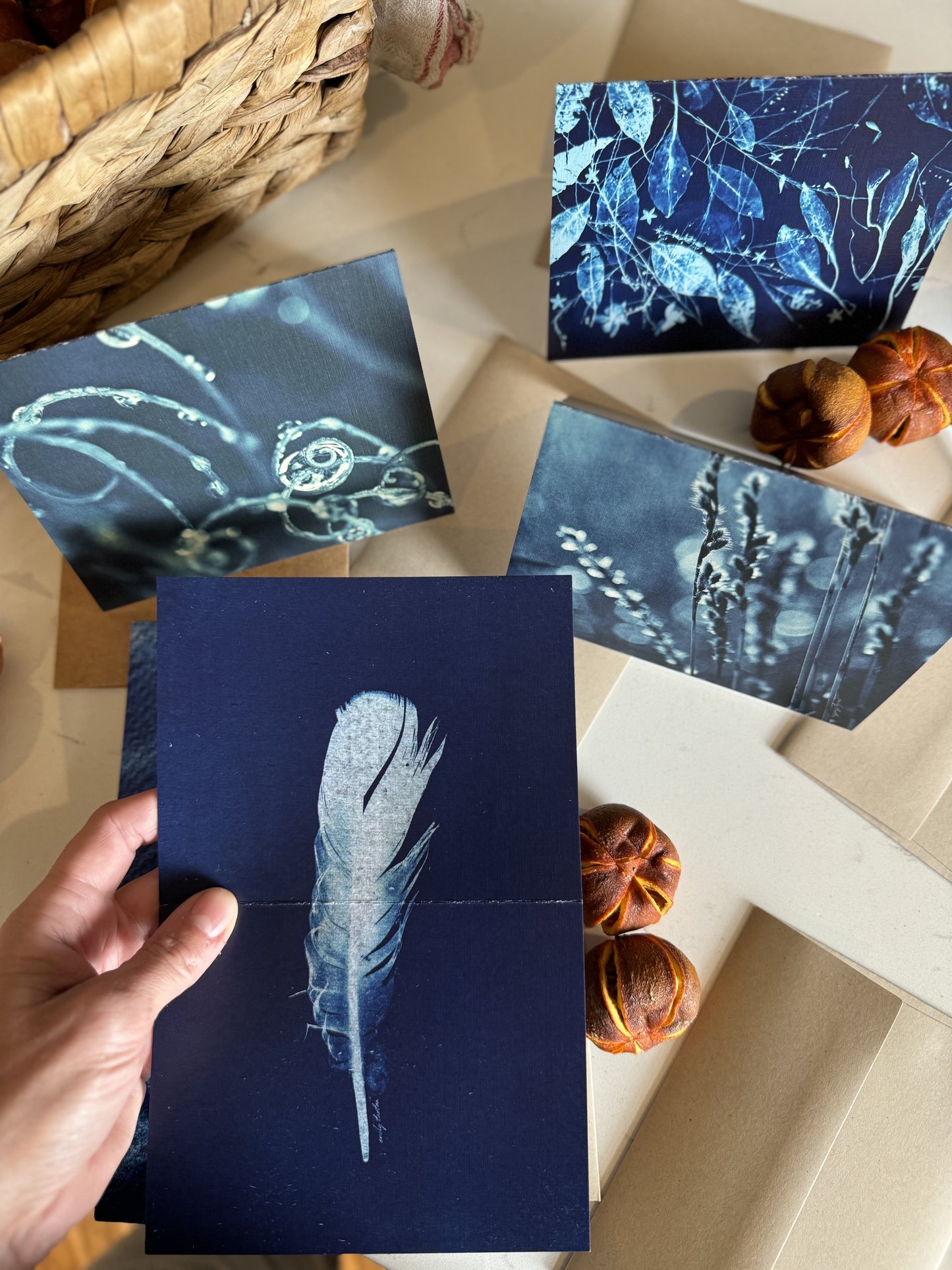 Cyanotype Original Art Printed Greeting Cards