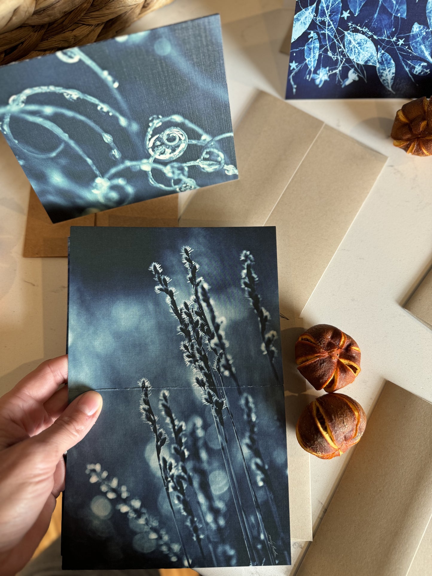 Cyanotype Original Art Printed Greeting Cards