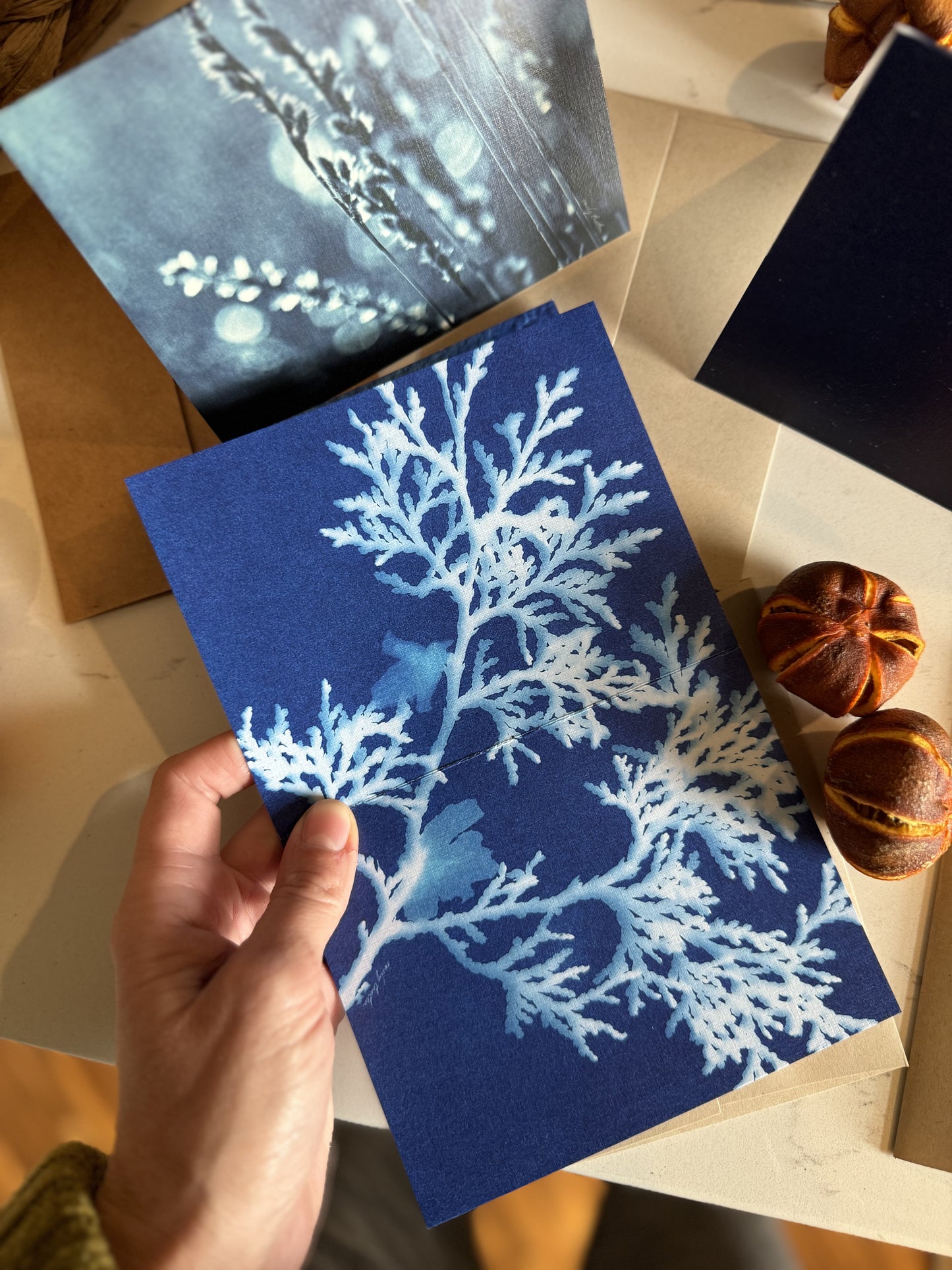 Cyanotype Original Art Printed Greeting Cards