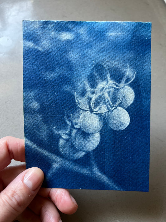 Cyanotype Workshop | Creating Beautiful Wearable Art and Printing with Photo Negatives