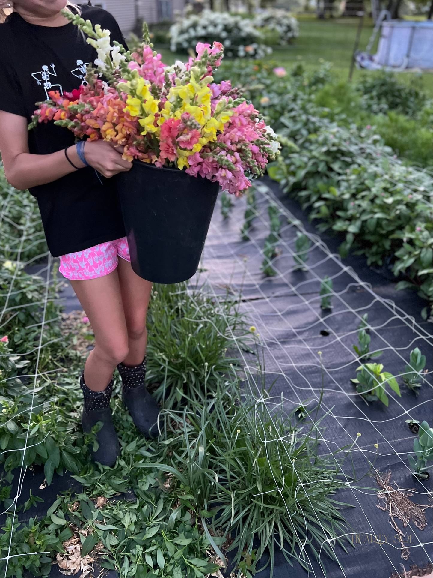 Fresh Floral Bucket